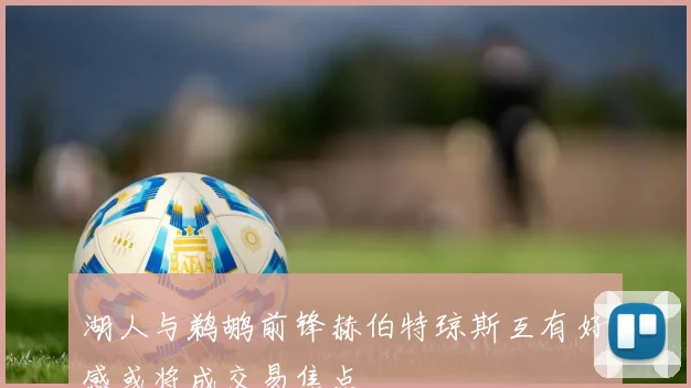湖人与鹈鹕前锋赫伯特琼斯互有好感或将成交易焦点