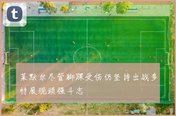 莱默尔尽管脚踝受伤仍坚持出战多特展现顽强斗志